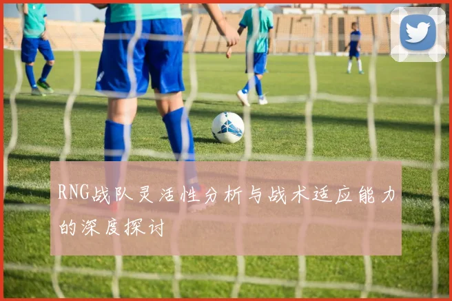 RNG战队灵活性分析与战术适应能力的深度探讨