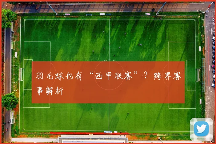 羽毛球也有“西甲联赛”？跨界赛事解析